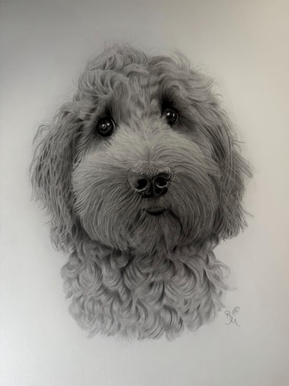Exquisitely drawn picture with super detail of a cockapoo dog by Panchula Art artist.  