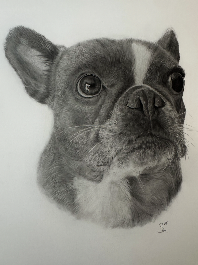 Exquisitely drawn picture with super detail of a cockapoo dog by Panchula Art artist.  